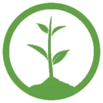 One Tree Planted