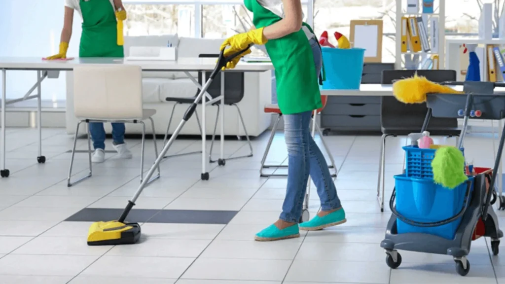 Professional Cleaning Services